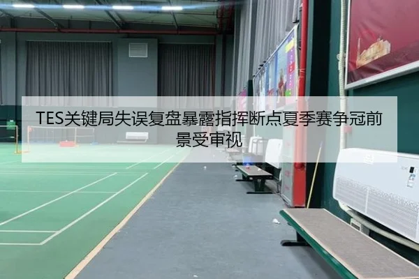 TES关键局失误复盘暴露指挥断点夏季赛争冠前景受审视